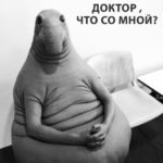 мем Кот Вжух